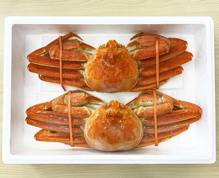 訳あり！カナダ産ボイルずわいがに 1kg(2尾)