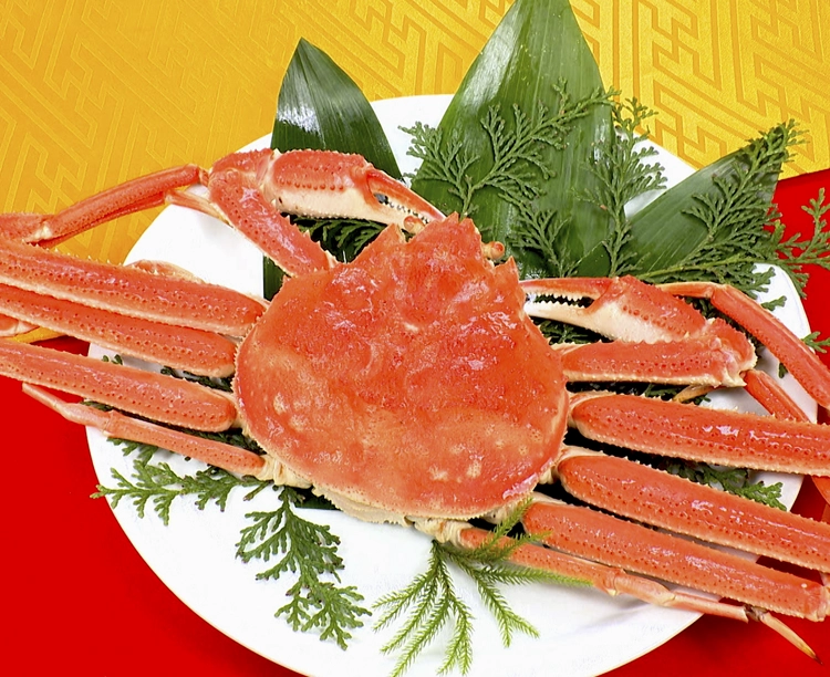 贅沢の極み「五つ星セット」