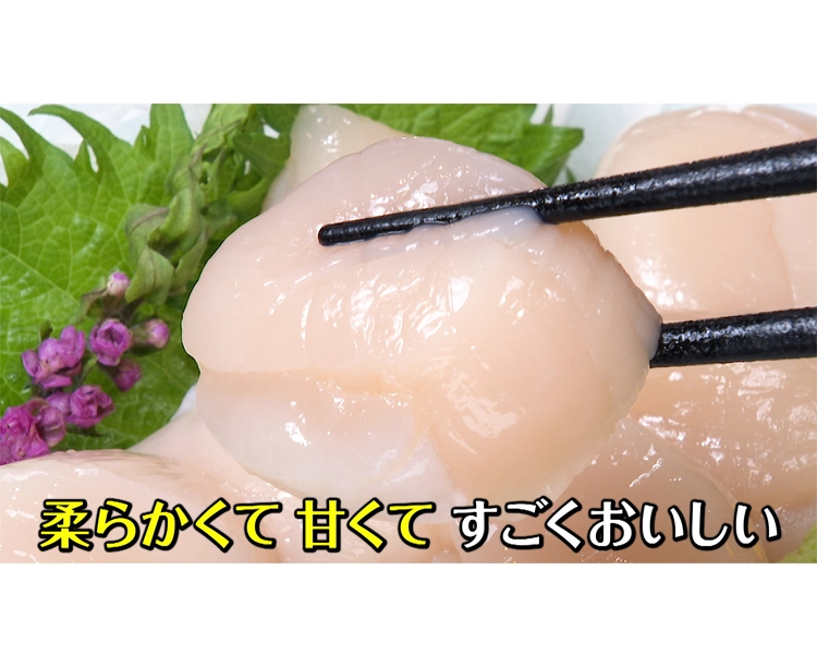 【正規品】北海道噴火湾産ほたて貝柱1kg