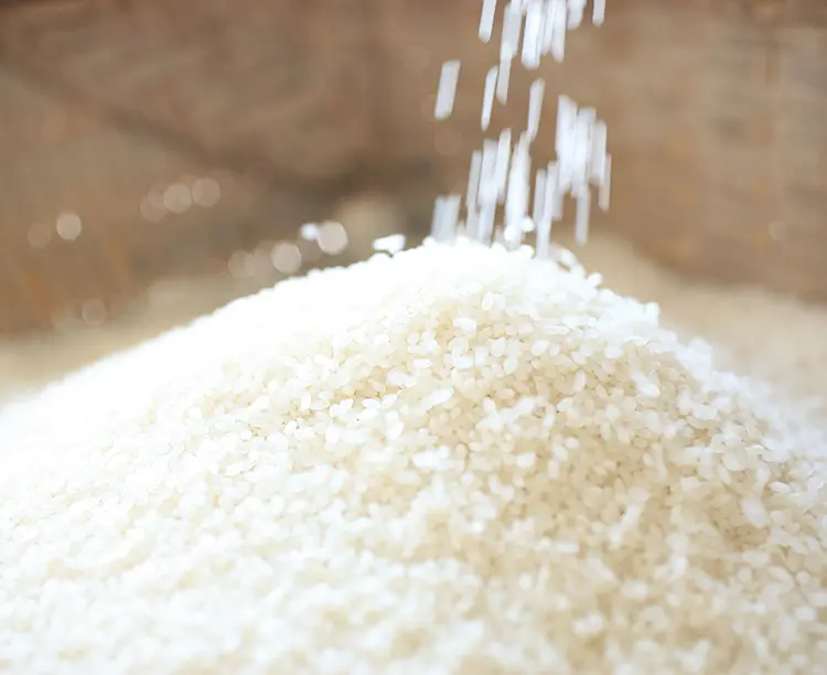 魚沼産ミルキークイーン 10キロ【精米後即送】