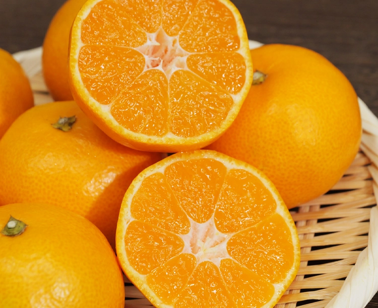 【正規品】愛媛県宇和島産みかん（5kg・Mサイズ）