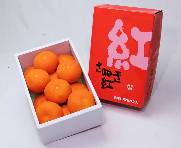 三ケ日みかんのびん詰め｜株式会社とやま農園｜三ケ日みかん