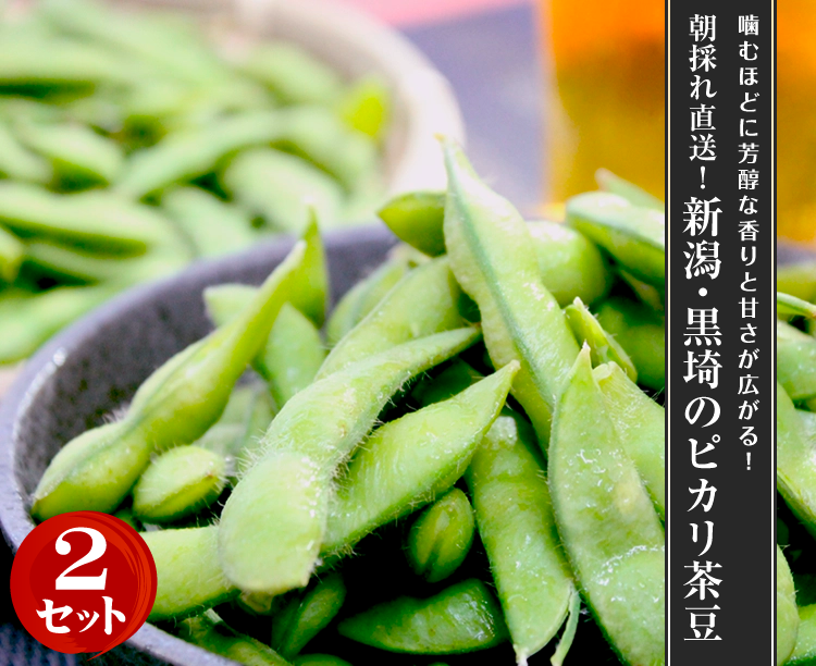 【2セット】朝採れ直送！新潟・黒埼のピカリ茶豆