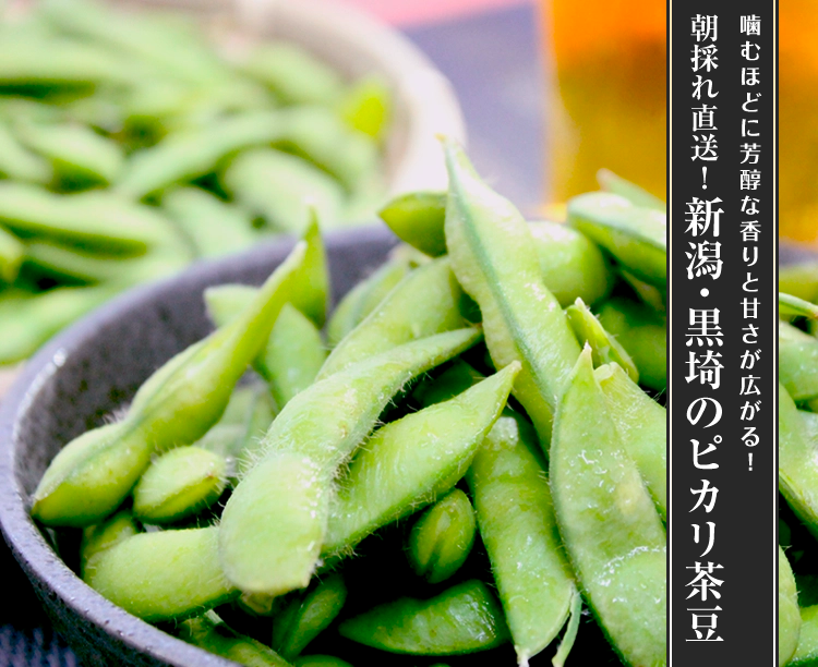 朝採れ直送！新潟・黒埼のピカリ茶豆
