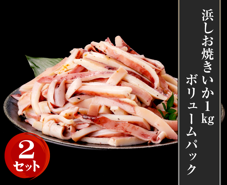 【2セット】浜しお焼きいか1kgボリュームパック