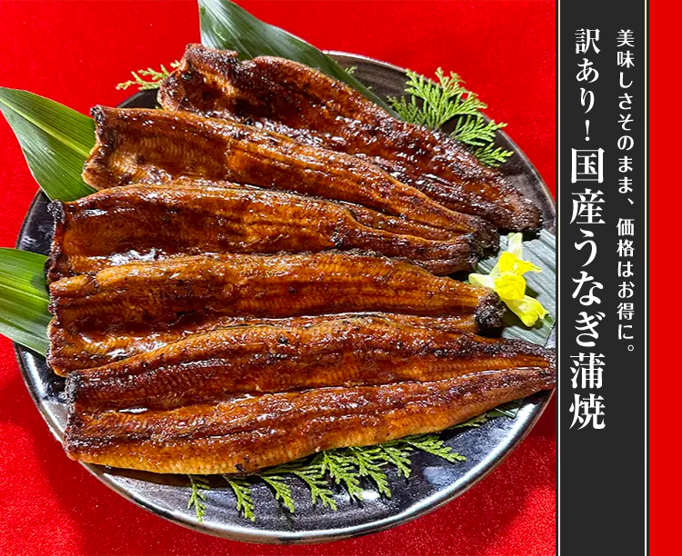 訳あり！国産うなぎ蒲焼