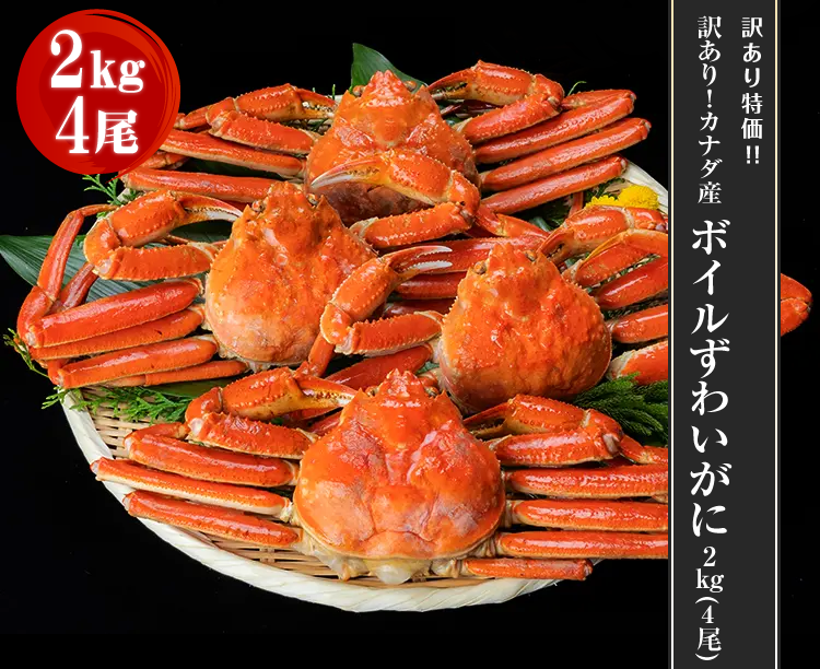 訳あり！カナダ産ボイルずわいがに 2kg(4尾)
