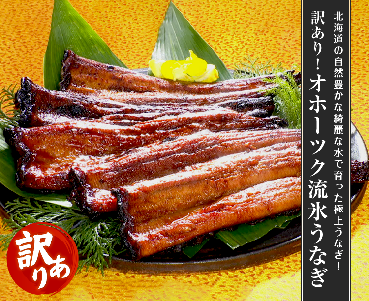 訳あり！オホーツク流氷うなぎ