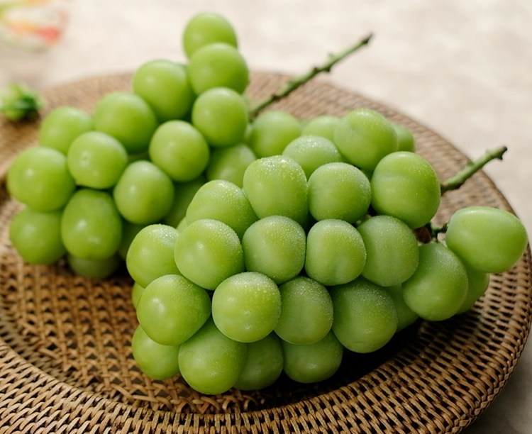 山梨県笛吹市産 特選シャインマスカット2房 計1.2㎏