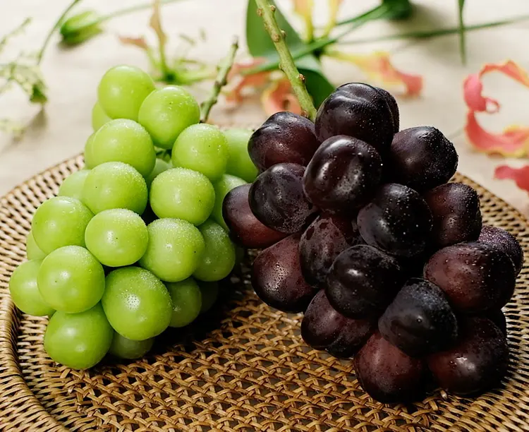 「特選シャインマスカット」と「超希少ブラックシャイン」の食べ比べセット