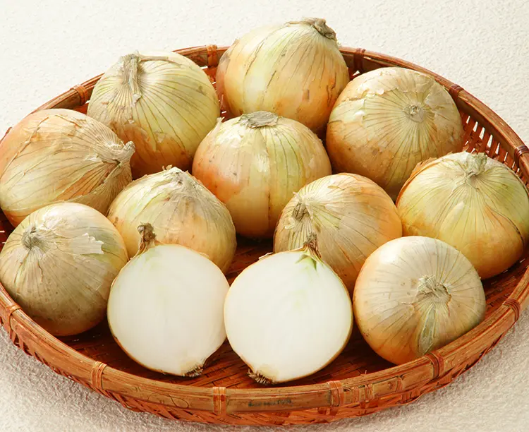 淡路島産 新玉ねぎ