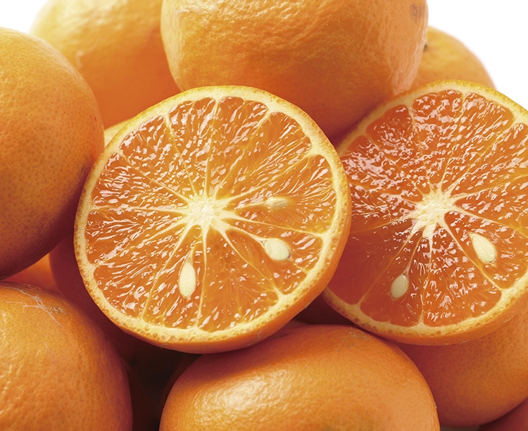 春のみかん カラマンダリン