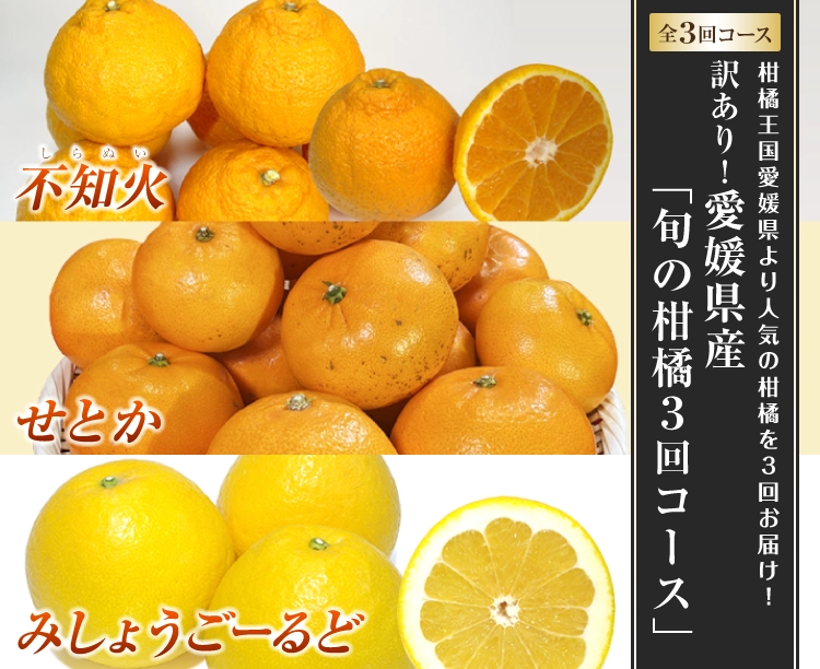 【グルメ定期便】訳あり！愛媛県産「旬の柑橘３回コース」