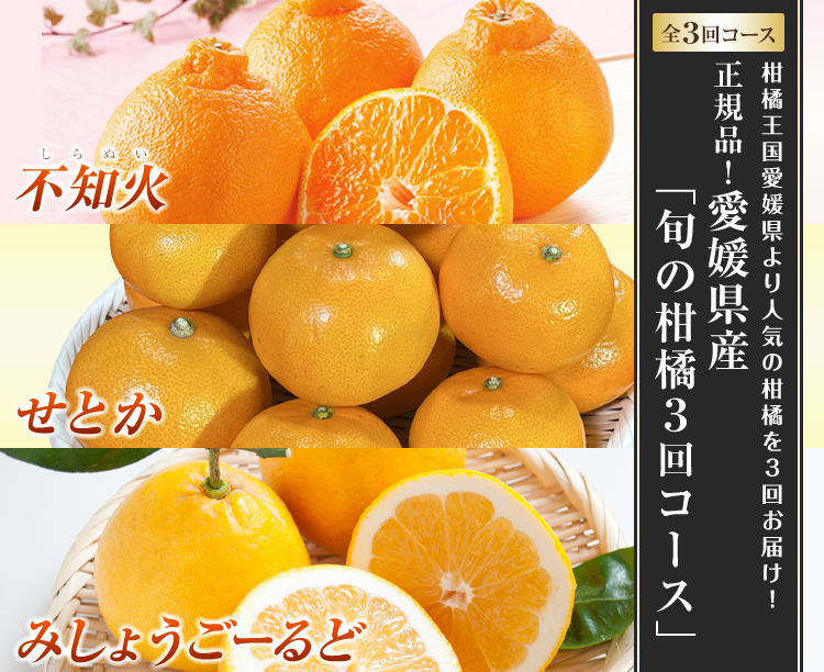 【グルメ定期便】正規品！愛媛県産「旬の柑橘３回コース」
