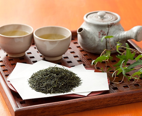 八女星野茶 煎茶（100g×3）